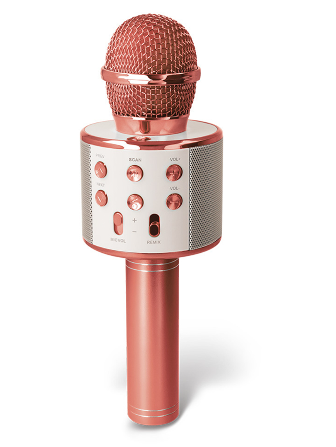 Forever BMS-300 Bluetooth microphone with speaker