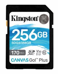 Kingston  256GB Canvas Go Plus Memory Card