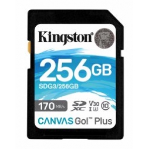 Kingston  256GB Canvas Go Plus Memory Card