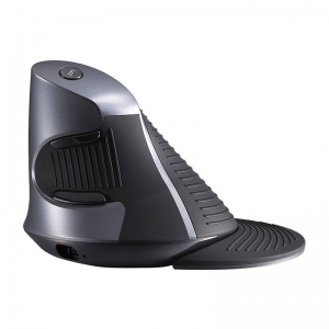 Delux M618G GX Wireless Mouse
