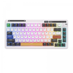 Royal Kludge KZZI K75 pro Eternity RGB Mechanical keyboard