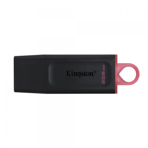 Kingston 256GB USB 3.2 Gen1 DataTraveler Flash drive