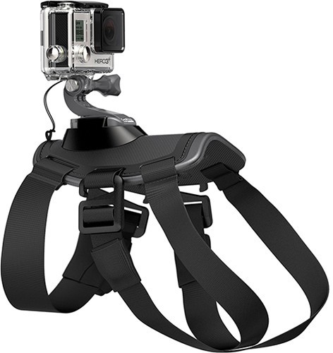 GoPro Fetch koera rakmed