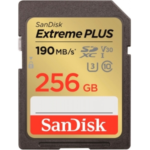 MEMORY SDXC 256GB UHS-1/SDSDXWV-256G-GNCIN SANDISK