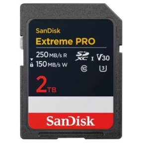 MEMORY SDXC 2TB UHS-1/SDSDXXD-2T00-GN4IN SANDISK