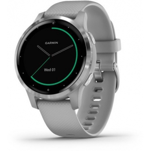 Garmin vivoactive 4S, silver/powder gray