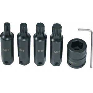 6-OS. 3 / 4" PIKKADE 12-TÄHIK LÖÖKOTSIKUTE KOMPL. M12 / M14 / M16 / M18 TRIUMF