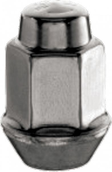 MUTTER M12X1.50 / 36 / 19 (KINNINE. P36. CH19) INOX PEA (CHE / OPE)