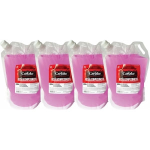 4X3L CARLAKE SUVINE KLAASIPESU KOTT