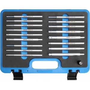 18-OS. 1 / 4 PIKKADE 140MM. TORX. KUUSKANT. 12-TÄHIK OTSIKUTE KOMPL. TRIUMF