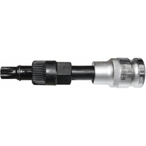 GENERAATORI VÕTI 33 HAMMAST. XZN M10 (BOSCH). PIKK TRIUMF