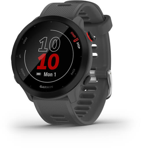 Garmin Forerunner 55 GPS, monterra grey