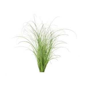 Click & Grow Smart Refill Декоративная трава 3 шт.