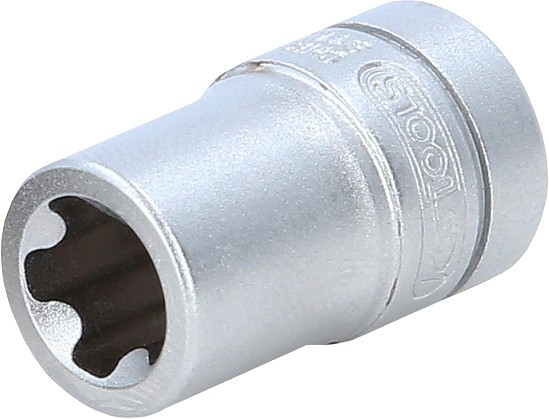 1 / 4" ERIPROFIILIGA PADRUN TESLA EPR10 KS TOOLS