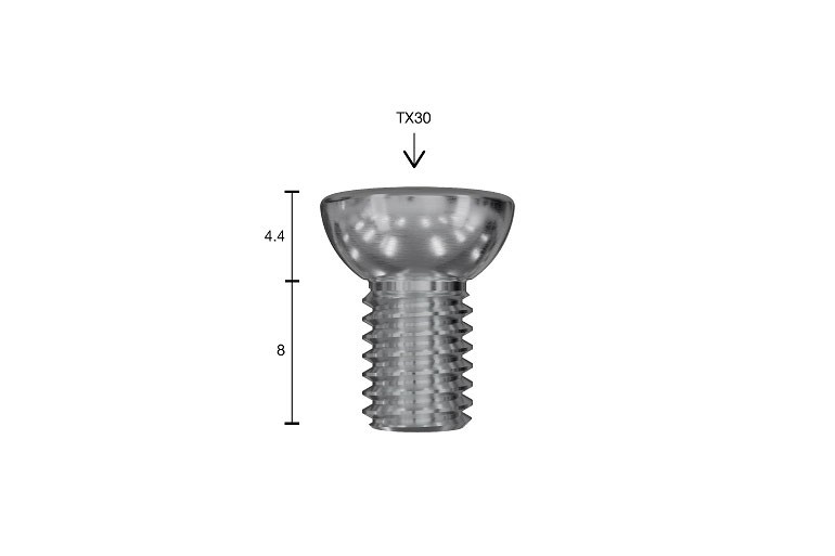 SCHRADER TPMS HVOR-GEN2 ANDURI KRUVID (T30. 4.0NM) 20TK