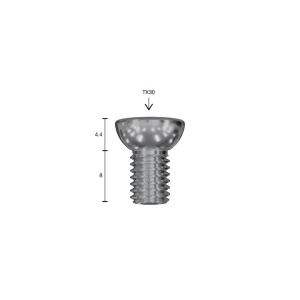 SCHRADER TPMS HVOR-GEN2 ANDURI KRUVID (T30. 4.0NM) 20TK