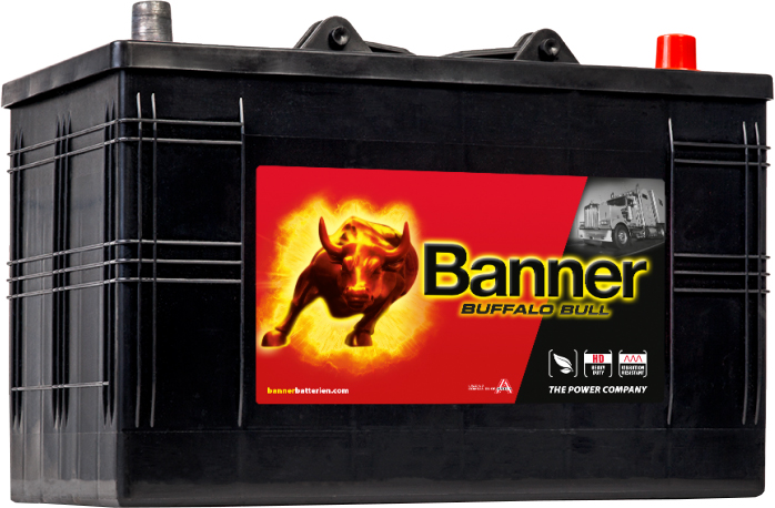 BANNER AKU BUFFALO BULL 110AH 344X172X230 - + 720A