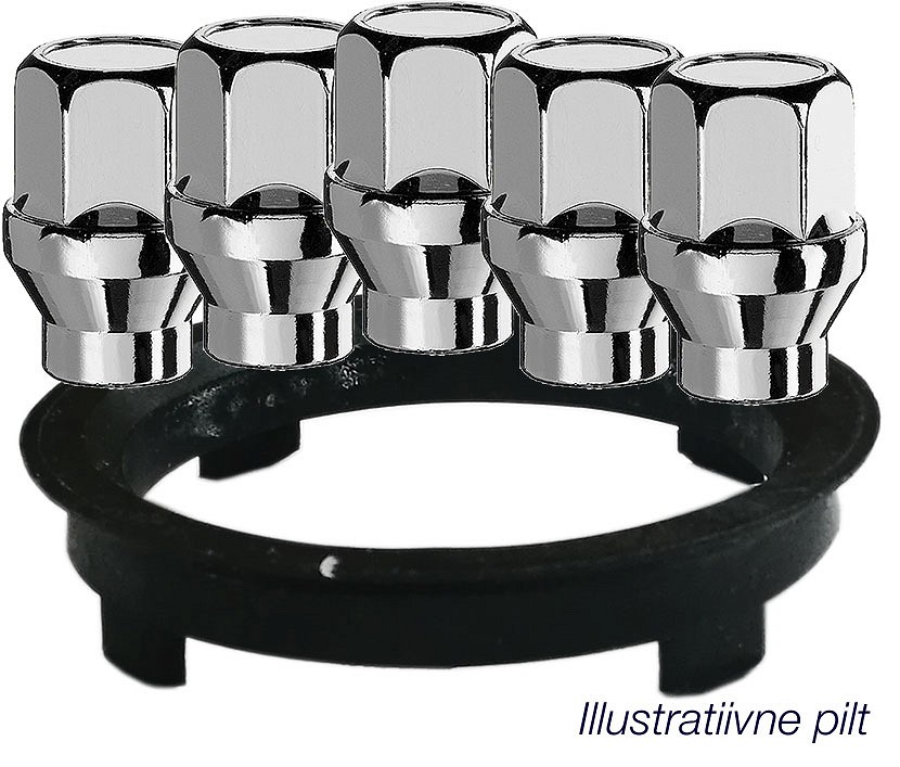 AUTEC KIT (MH12X1.50 / 34 / 19 5TK + 67.1-60.1 1TK) TOY / LEX