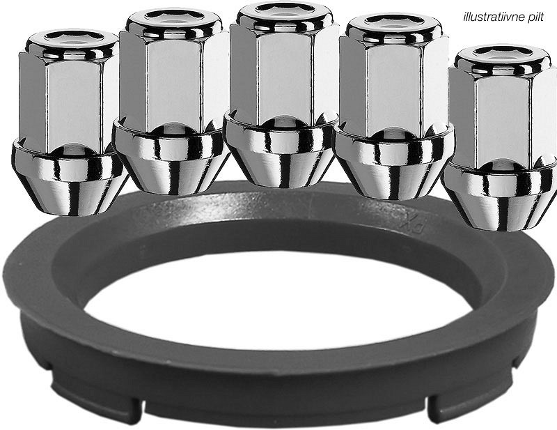 MUTTER M12X1.5 / 34 / 19 INOX PEA 5TK. + 70.1-67.1 1TK. AUTEC NR.82