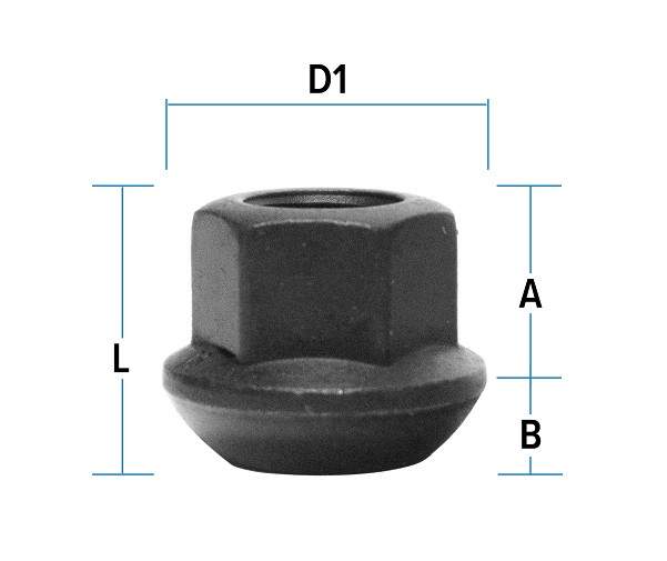 MUTTER PKM12X1.50 / 20 / 19 /  (PALL. R13. AV. P20. CH19)