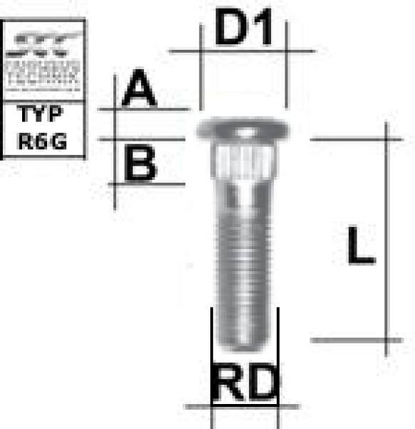 TIKKPOLT TP12X1.50 / 55 / 13 (P67.5. D13) L62 RD13.00 RL9.0