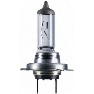 12V H7 PIRN 55W PX26D ORIGINAL OSRAM