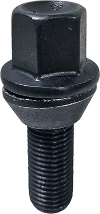 POLT P14X1.50 / 30 / 19 (P54. CH19). VV11 / S MUST. KOONUSSEIBIGA