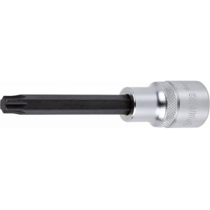 Torx padrunotsikud 1/2 pikad