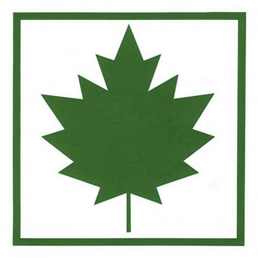 VAHTRALEHT KARTONG 1TK